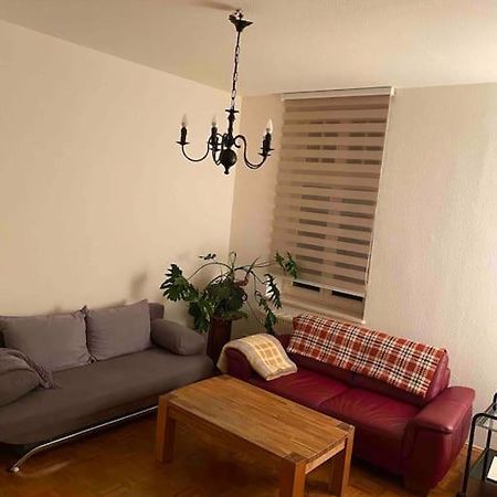Schone Altbauwohnung Mit Grun In Ruhiger Lage 라이프치히 외부 사진
