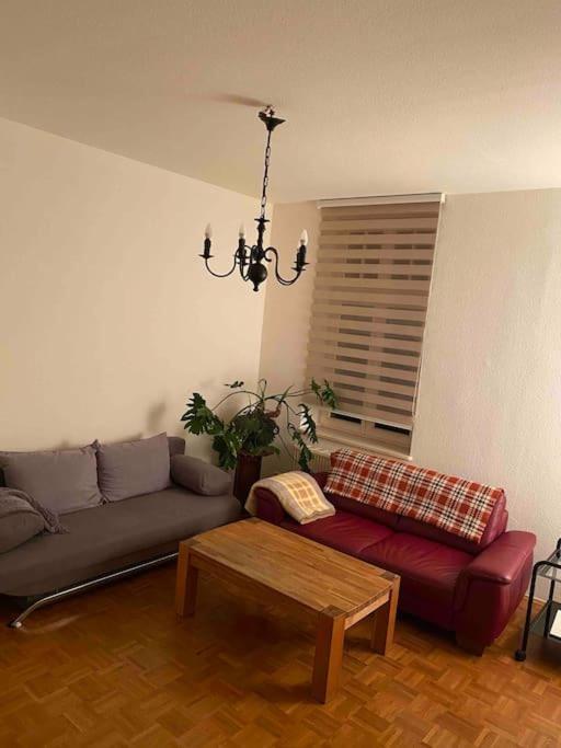 Schone Altbauwohnung Mit Grun In Ruhiger Lage 라이프치히 외부 사진